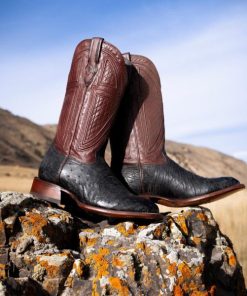 Pamelabankston.shop63c6e3d46b 2