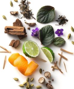 Pamelabankston.shopbb70d468dc 2