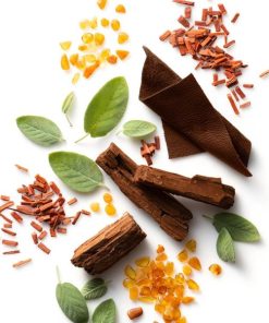 Pamelabankston.shopea4154b79f 2